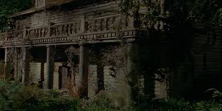 dave-11.jpg