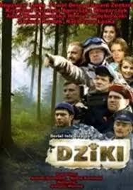 dziki-2.jpg