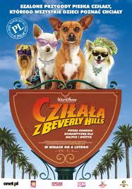 czilala-z-beverly-hills-1-hotel.jpg