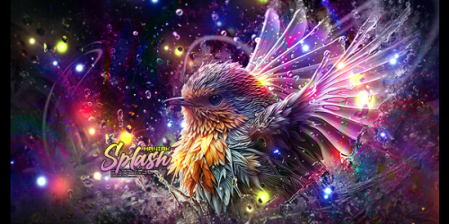 bird-splash-copy.png